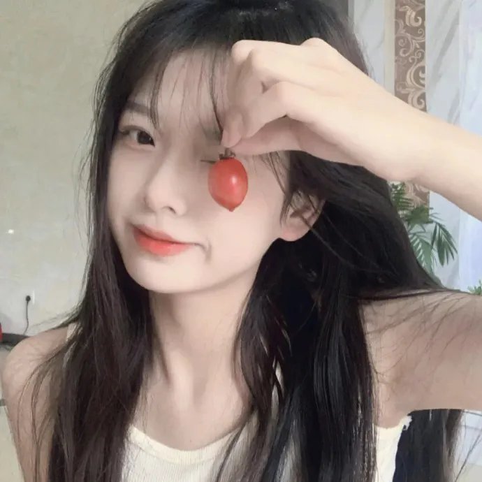 完美伴侣